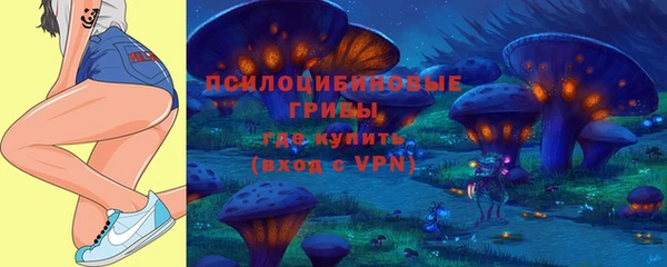 spice Бугульма
