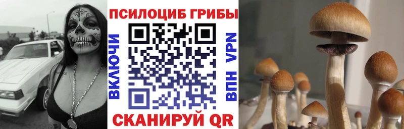 Псилоцибиновые грибы Magic Shrooms  Владимир 